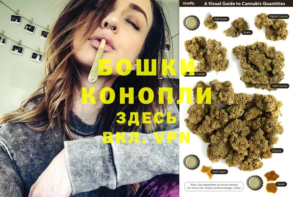 стаф Абаза