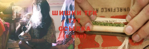 стаф Абаза