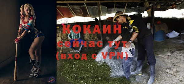 стаф Абаза